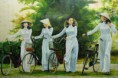 /album/galerie-photos-vietnam/vn-00163ps-jpg/