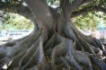 /album/buenos-aires/buenos-aires-2012-028-jpg1/