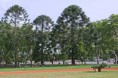 /album/buenos-aires/buenos-aires-2012-042b-jpg1/