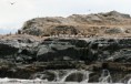 /album/ushuaia/ushuaia-2012-045-jpg/