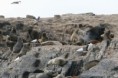 /album/ushuaia/ushuaia-2012-047a-jpg/