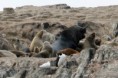 /album/ushuaia/ushuaia-2012-047b-jpg/